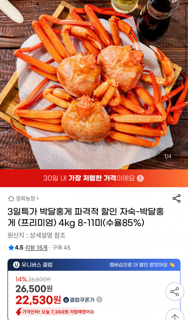 퀘이사존