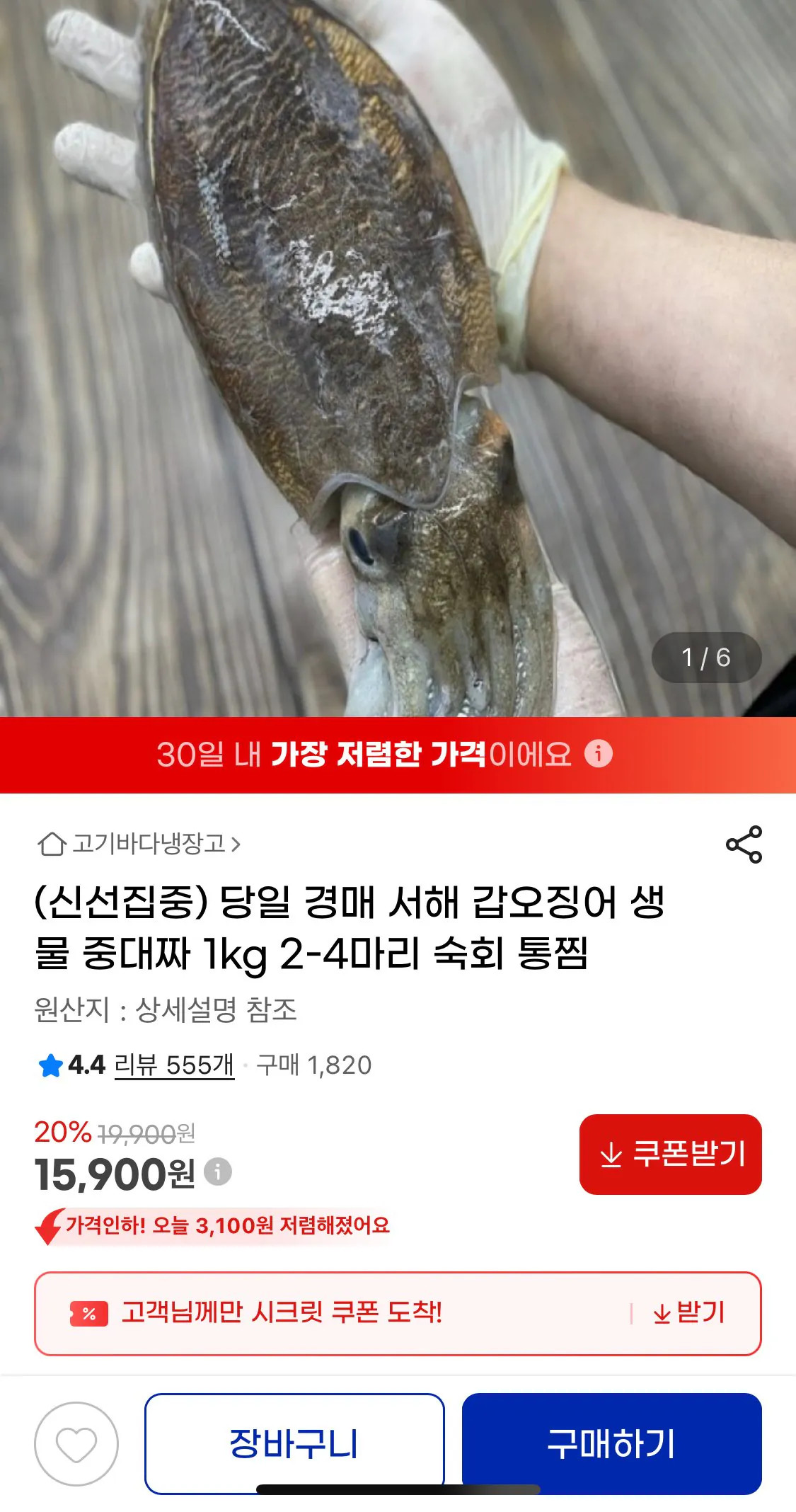 [지마켓] 서해 갑오징어 1kg (15,900원) (무료)