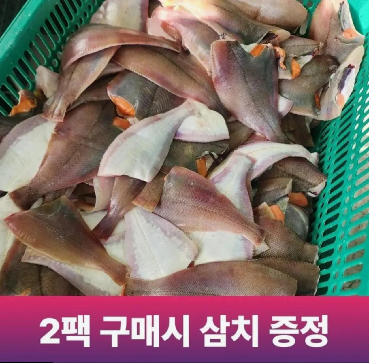 1000003090.jpg [롯데온] 국내산 동해안 생물 손질 참가자미 550g (11,310원) (무료)