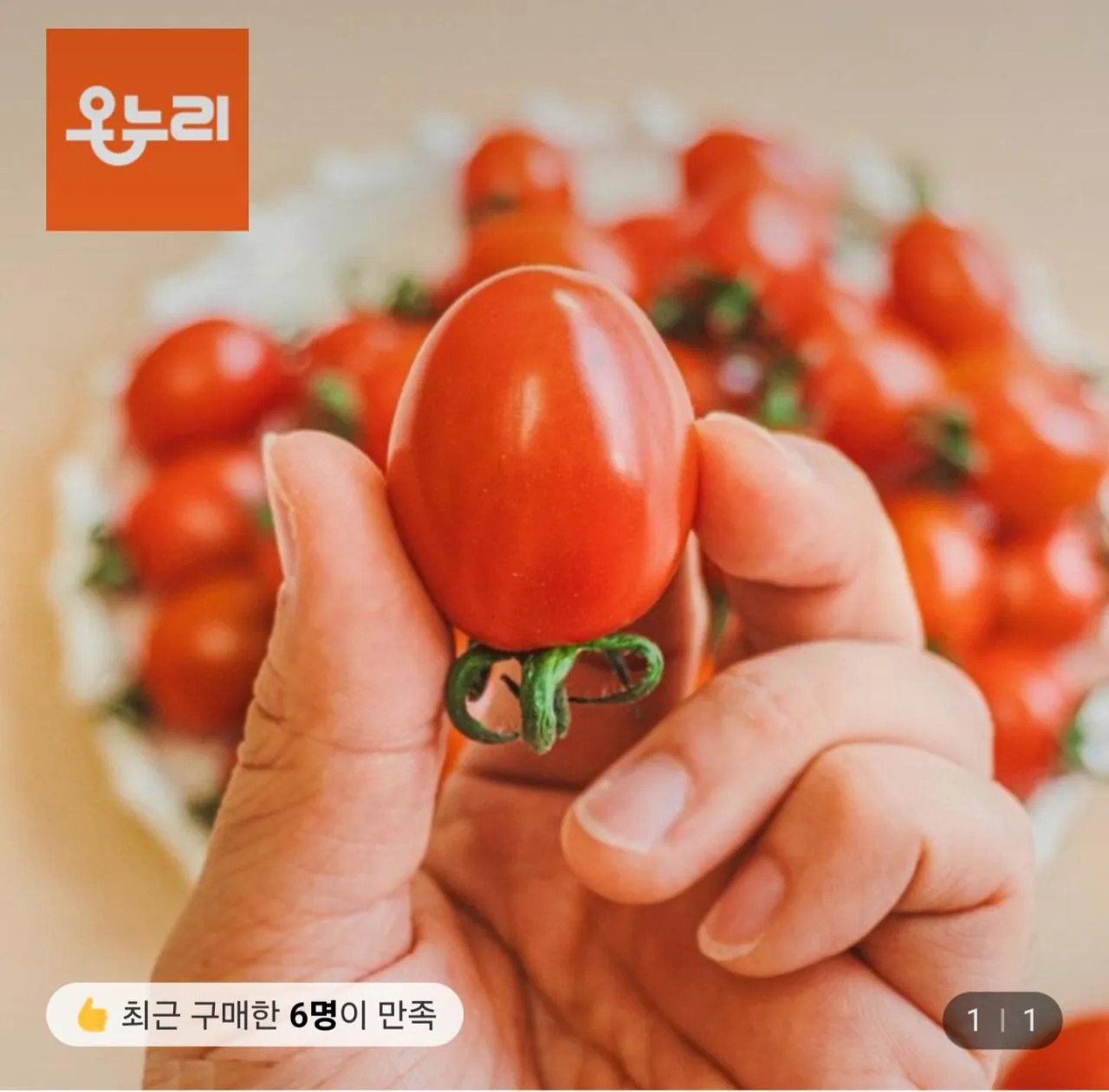 1000046501.jpg [롯데온] 대추방울토마토 5kg 미니 4-5번과 (18,910원) (무료)