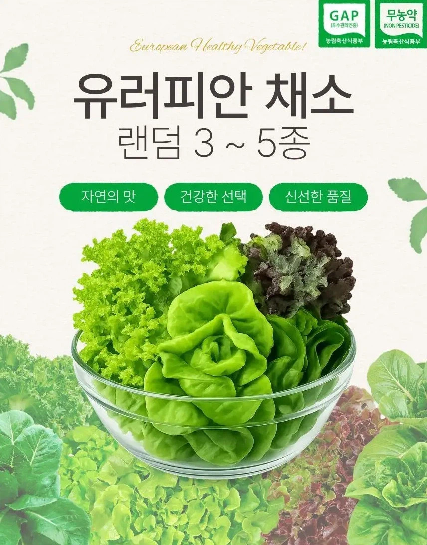 [알리] 코인딜 무농약 유러피안 모듬 채소 1kg (4,455원/무료)_2.webp