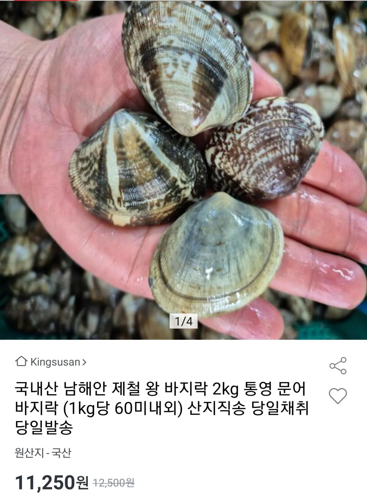 Screenshot_20260519-115003.jpg [옥션] 국내산 남해안 문어바지락 2kg 120미내외 (11,250원) (무료)