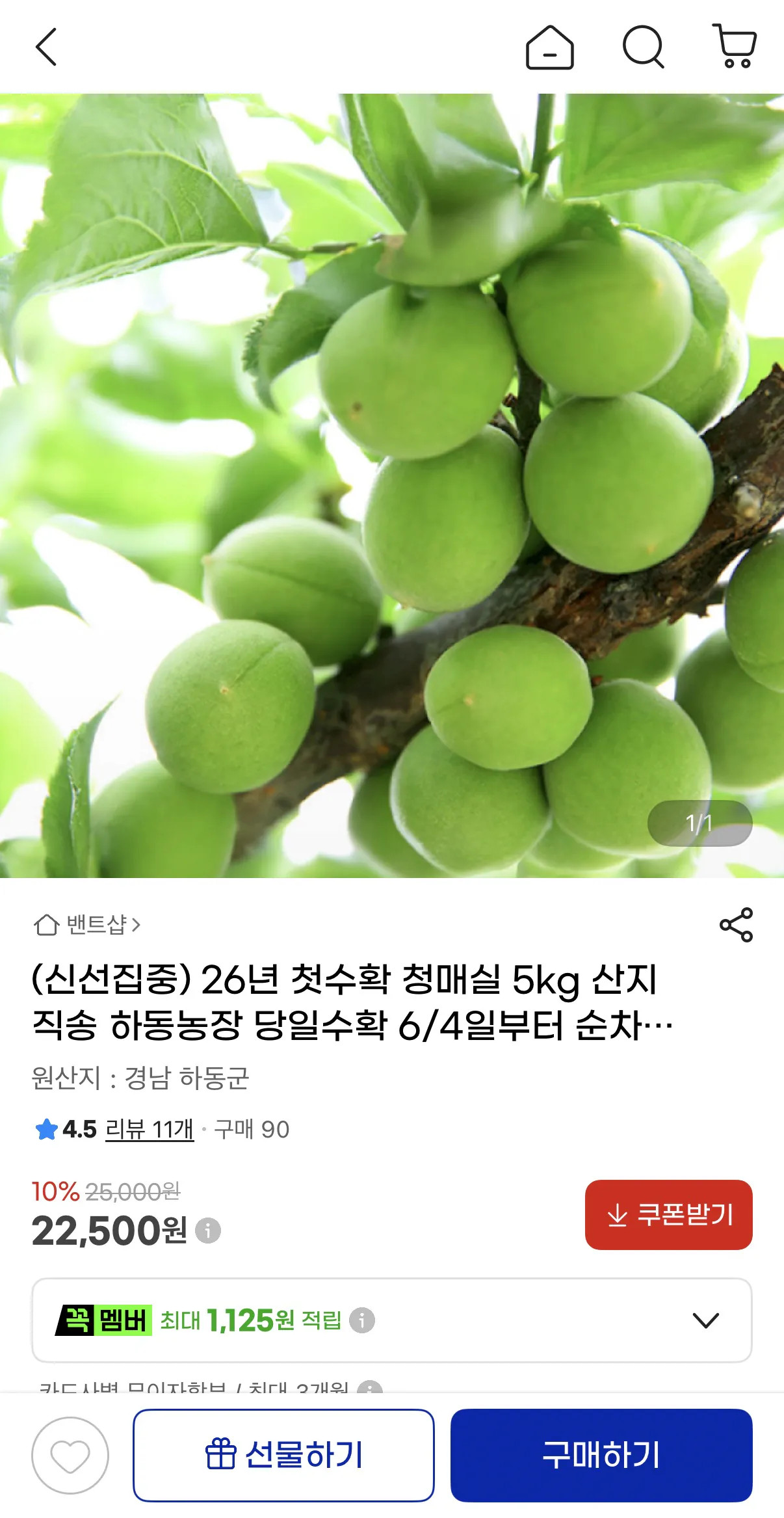 image.png [지마켓] 산지직송 첫수확 청매실 5kg (22,500원) (무료)