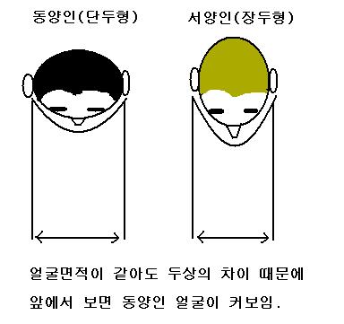 두상_1~1.JPG