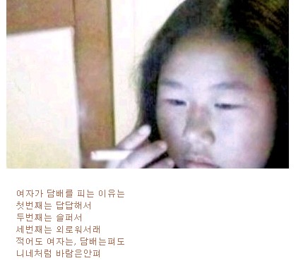 i19445492.jpg