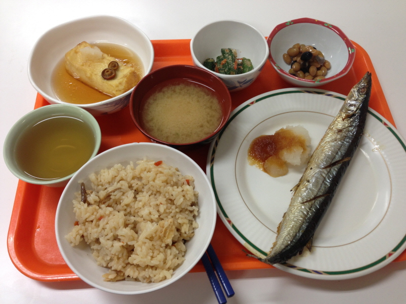 modified_023 (2).JPG