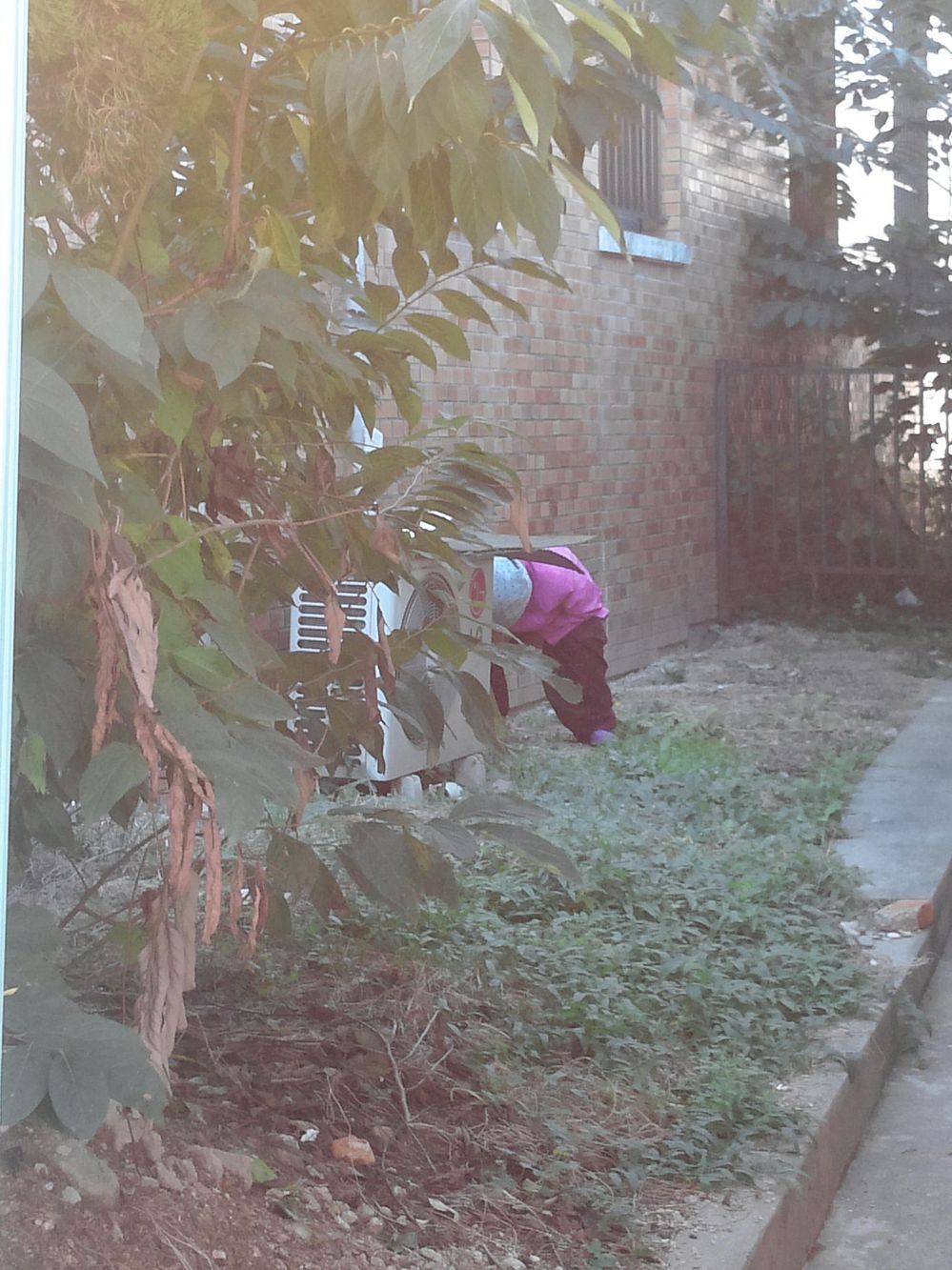 여자도 노상방뇨 한다.jpg | 짤방-이전자료3 | 일베저장소