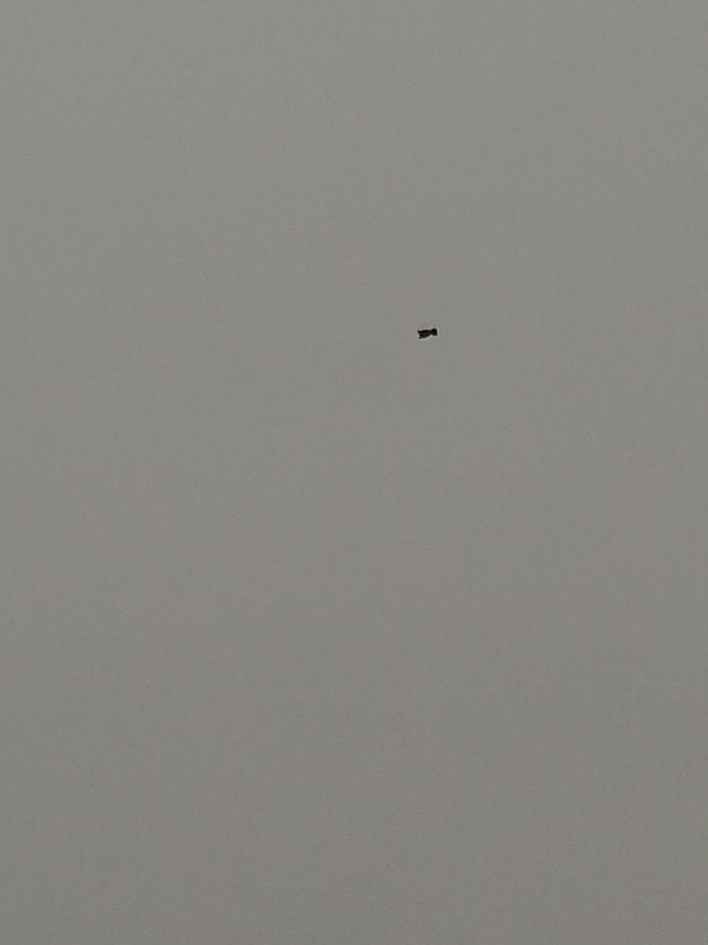 CAM00504.jpg