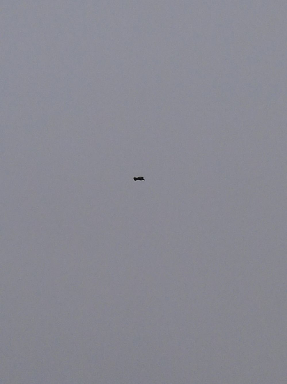 CAM00501.jpg