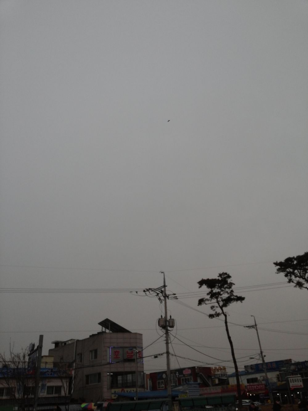 CAM00503.jpg