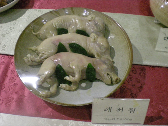 돼지새끼 갈아서 핏물에 밥 비벼먹는 제주도 음식 애저회 (혐오주의) | 인스티즈