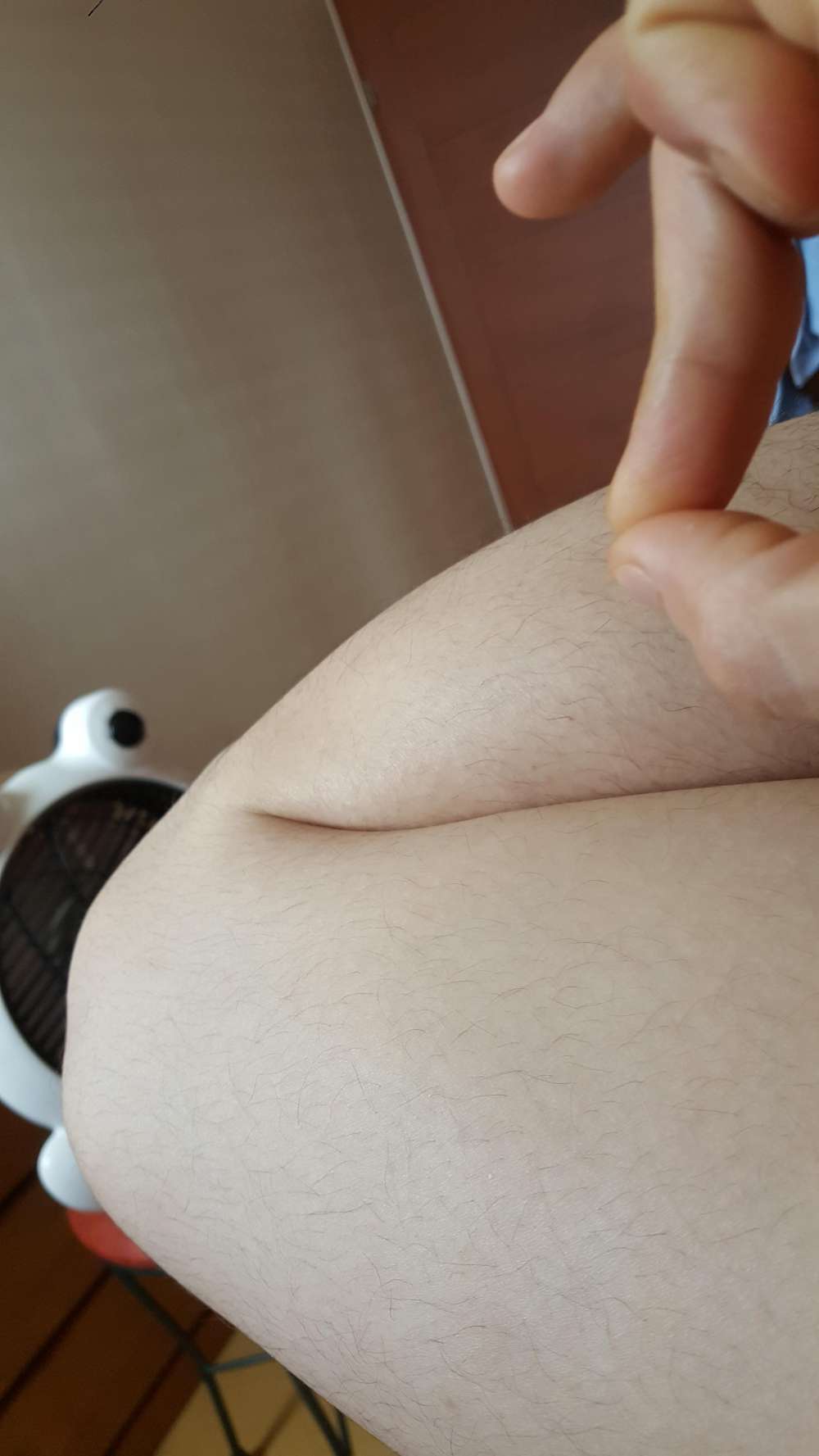 아다보지 