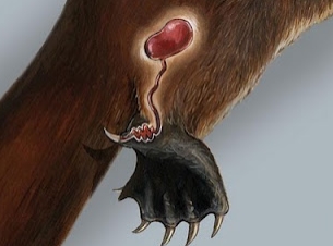 원본확인 클릭 7932b159c8411c784ac8f0b9d8975206.jpg