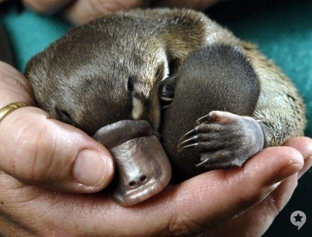 원본확인 클릭 oo-5.jpg