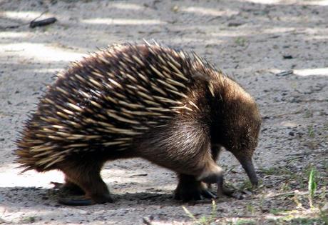 원본확인 클릭 0.jpg