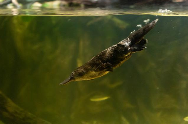 원본확인 클릭 1.png