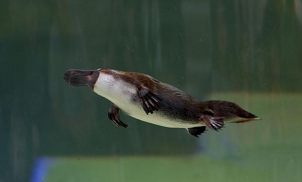 원본확인 클릭 1.png