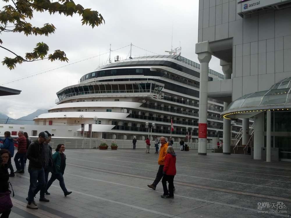 648.jpg