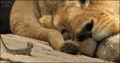 f9e350386e8b74e76ff1e74e838007cb.gif
