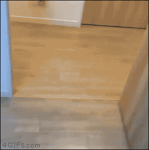 ae0821c716e36dc6dd91cd997b21ccb6.gif