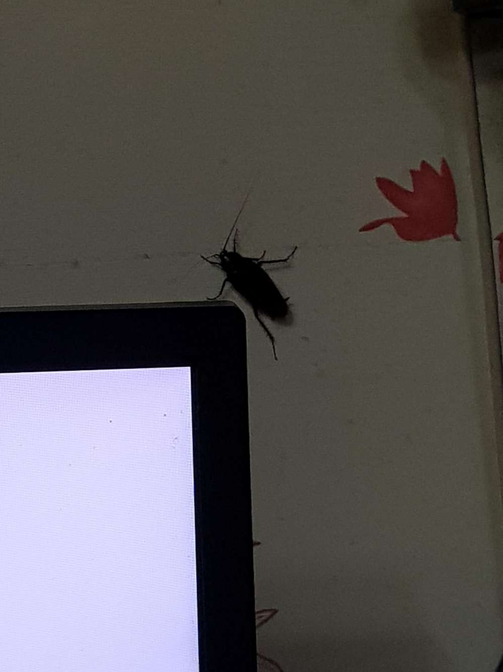 20170911_030146.jpg
