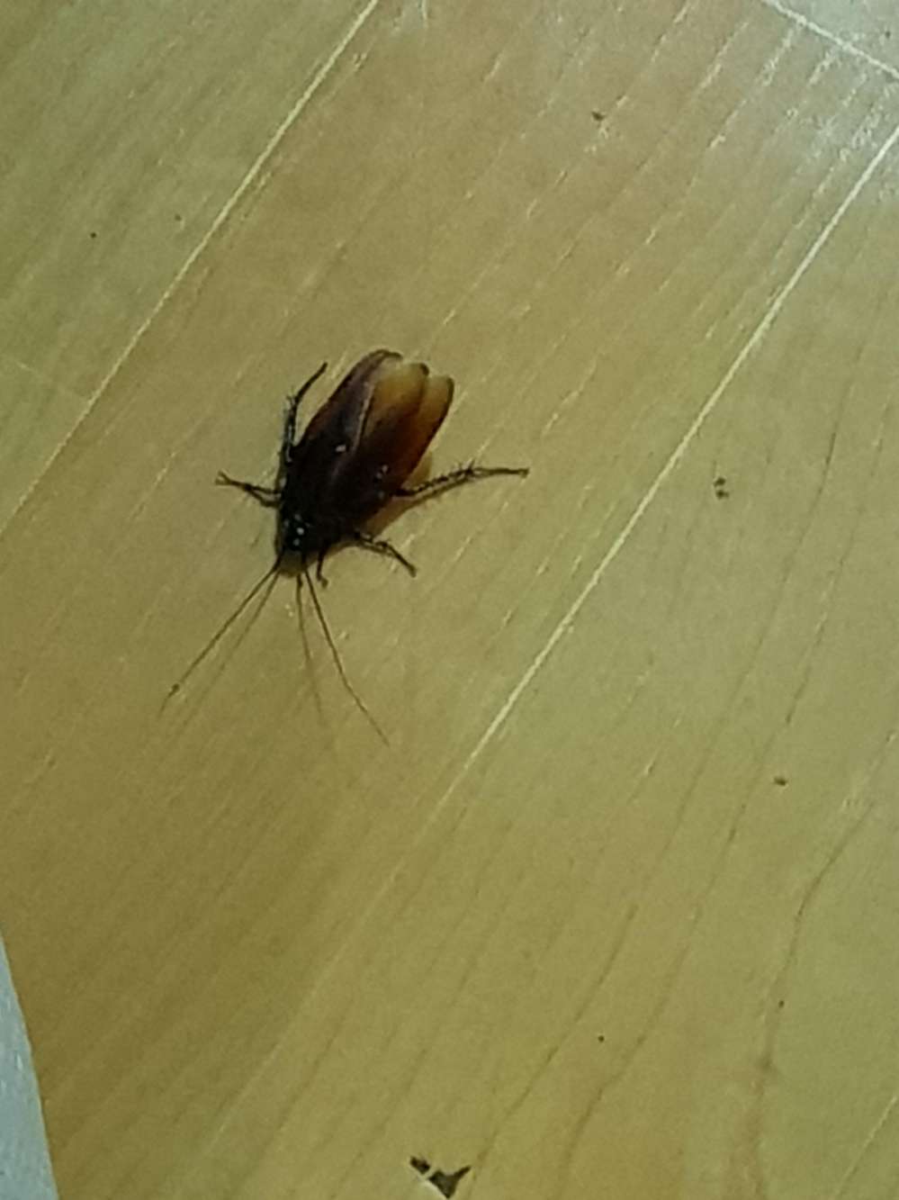 20170911_030829.jpg