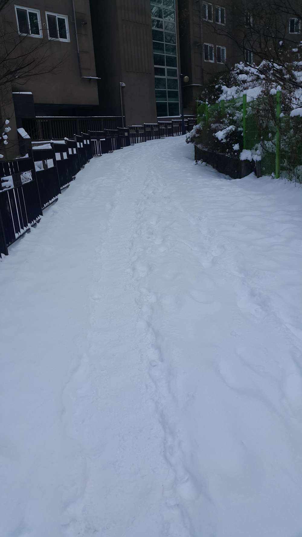 20180110_122227.jpg