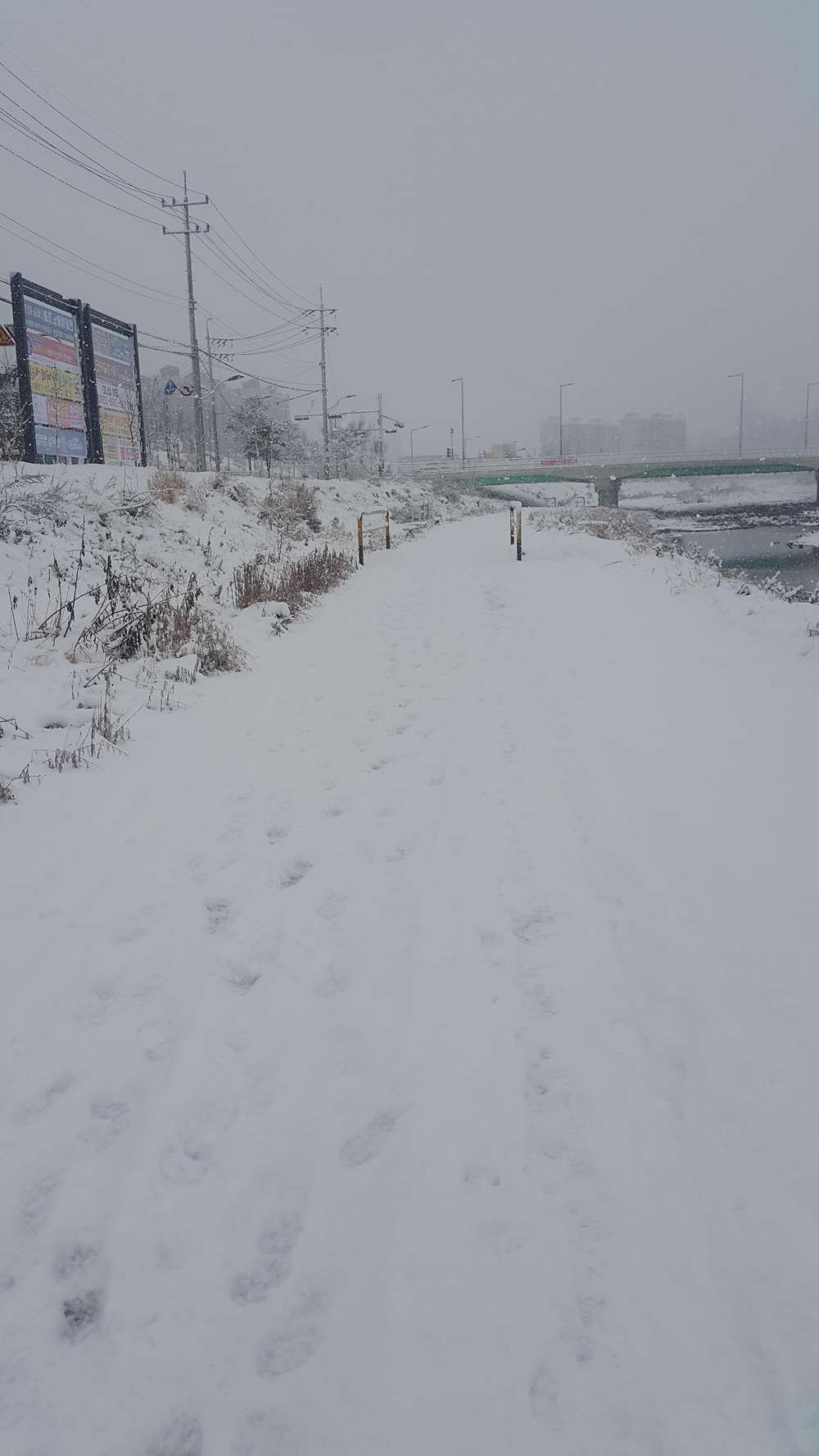 20180109_105618.jpg
