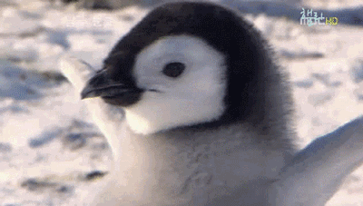 054384034699b8f8e44001f60cf39b51.gif