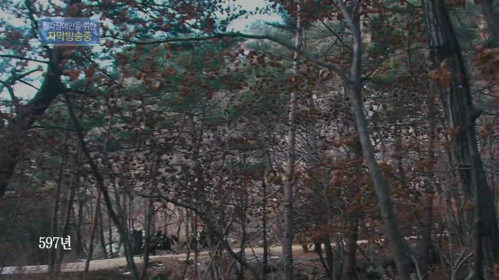 ¿©¸§Æ¯Áý KBS´ë±âȹ µð·ºÅͽºÄÆ Çѱ¹»ç±â.E03.170803.°í±¸·Á, ´ë·ú¿¡ ¸Â¼´Ù.720p-NEXT.mp4_000019049.jpg