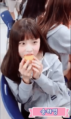 externalFile (33).gif