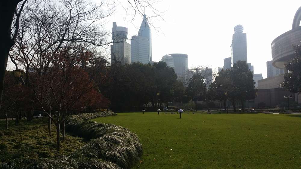 20141227_105241.jpg