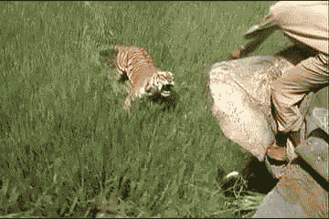1496045377409.gif