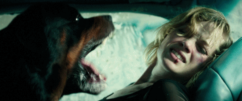 1530665933.gif