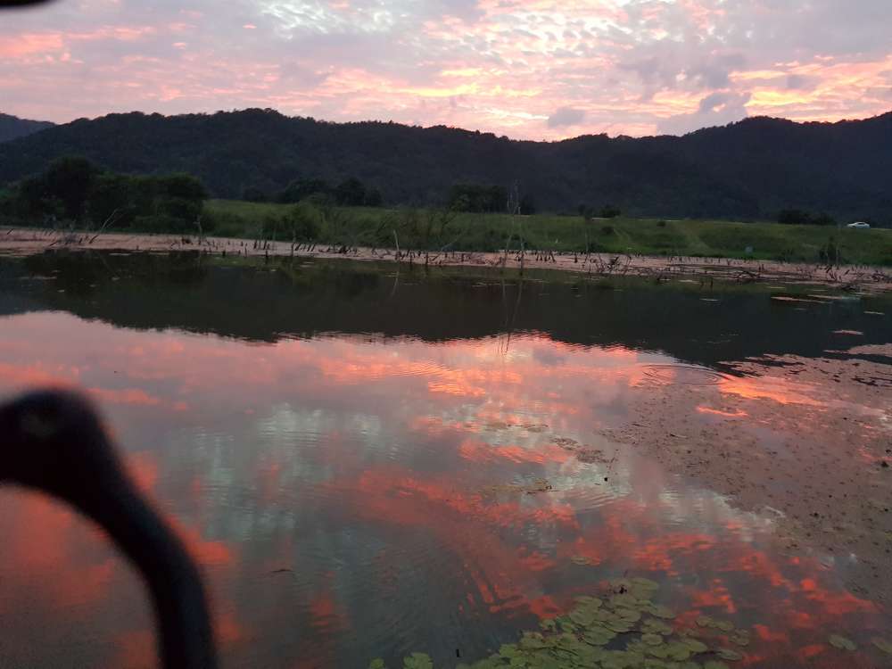 20180711_195751.jpg