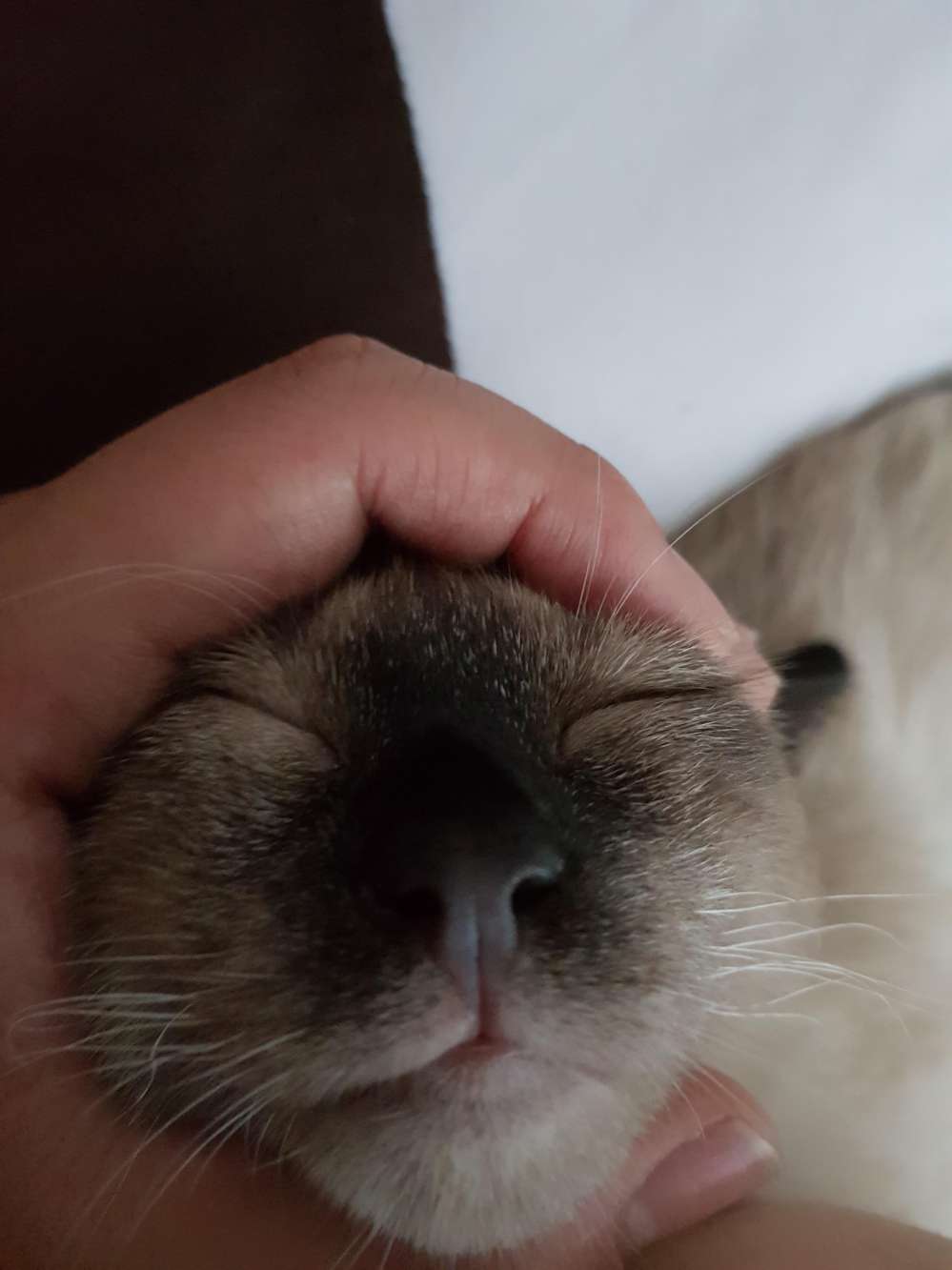 20180711_192739.jpg
