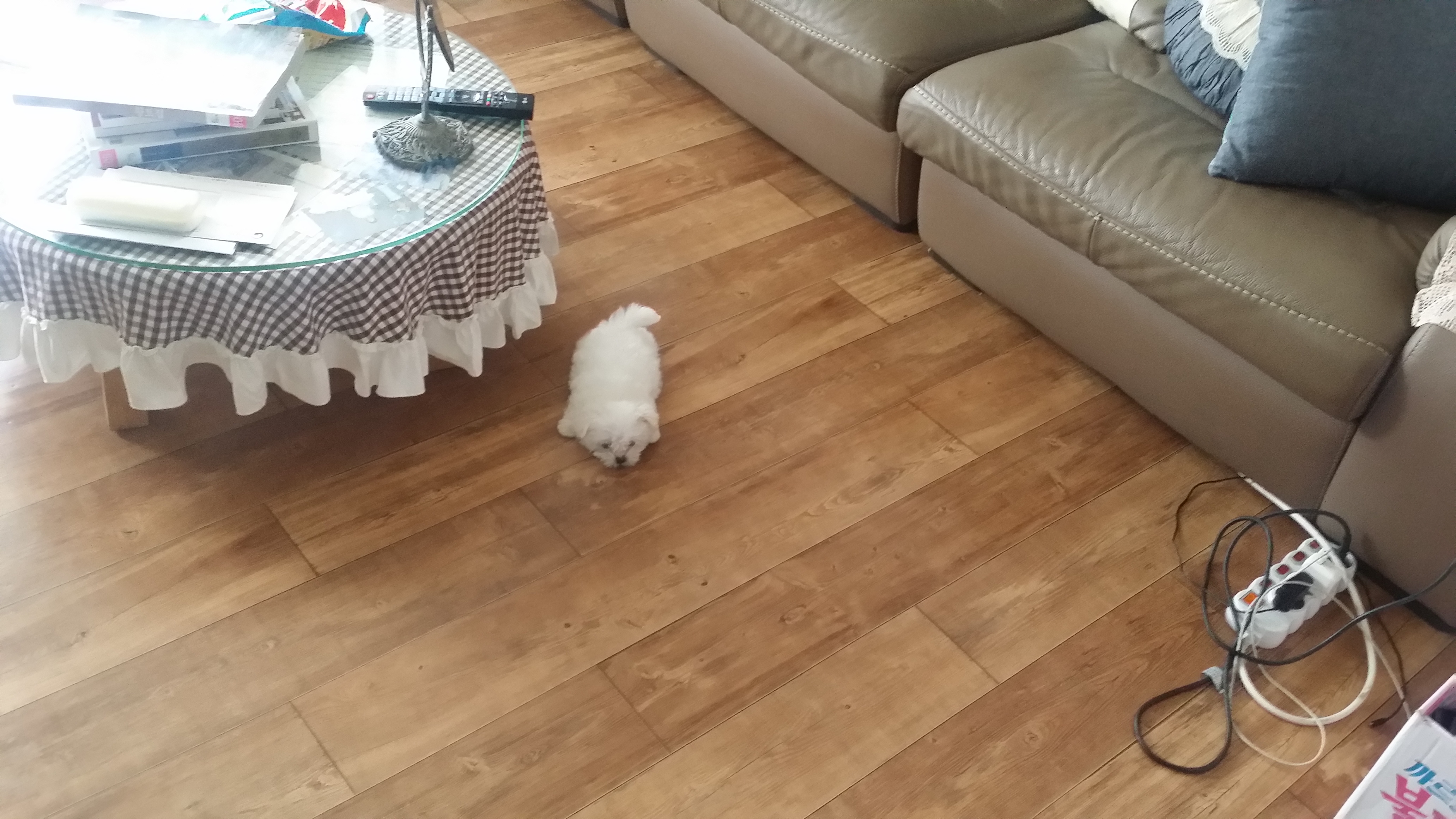 20180712_125151.jpg