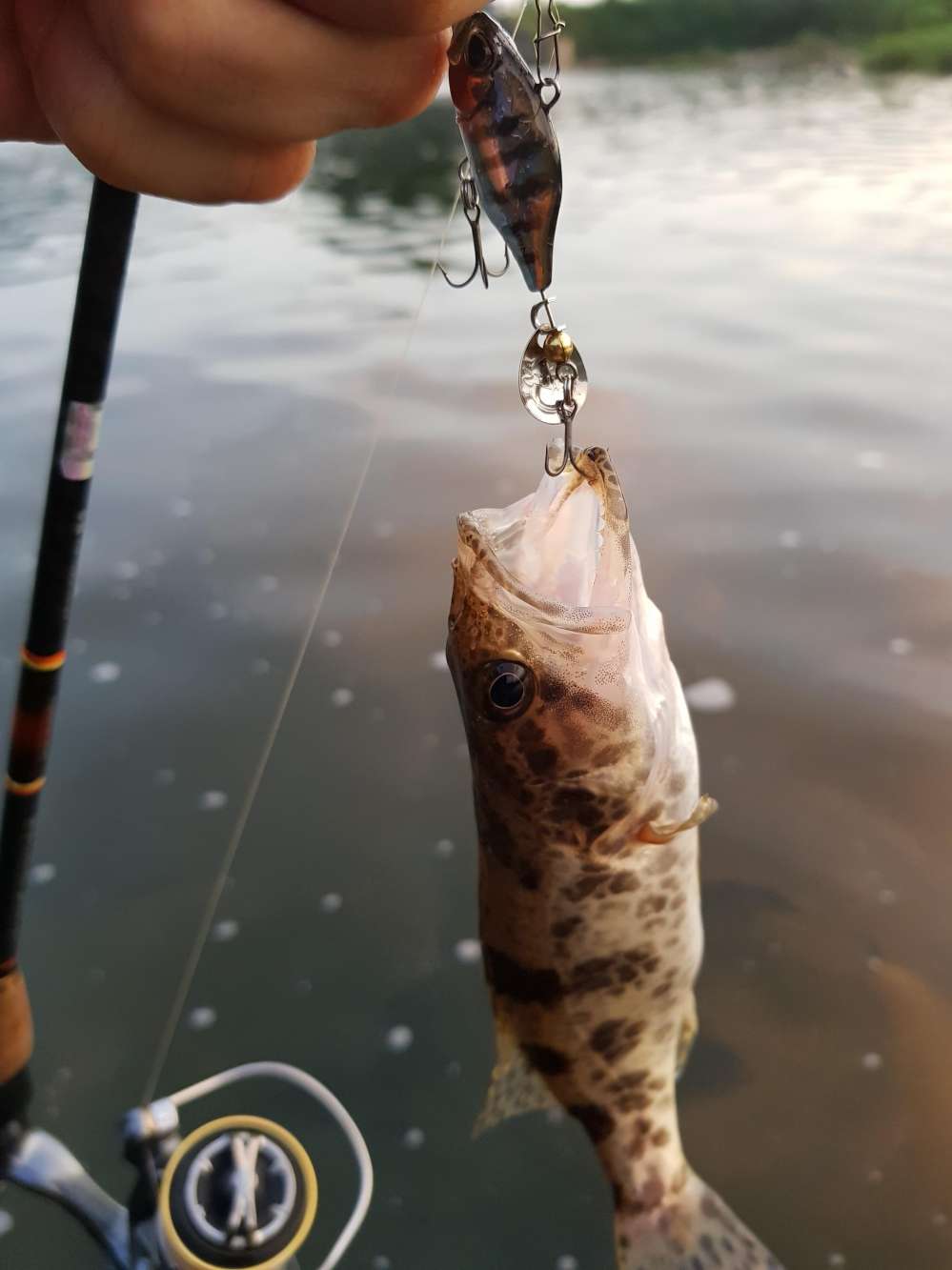 20180712_193501.jpg