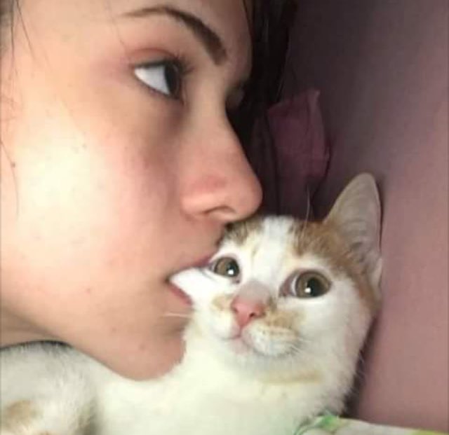 Dh_WLwKV4AAeMVH.jpg