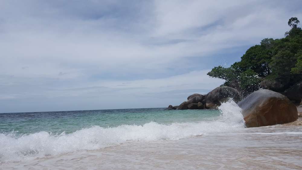 20190205_130315.jpg