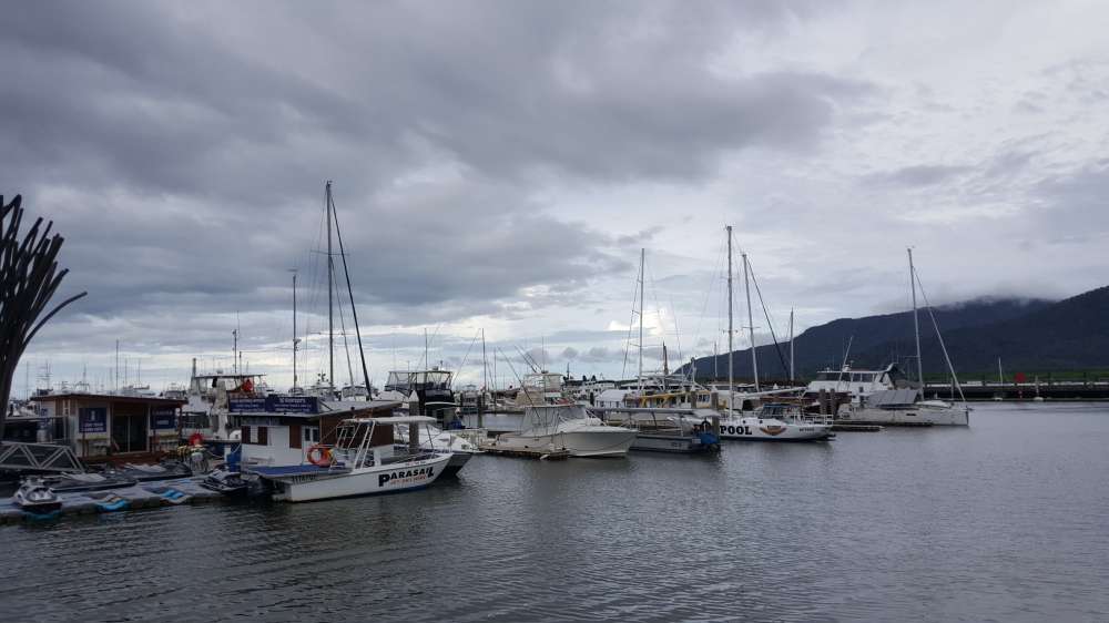 20190208_152557.jpg