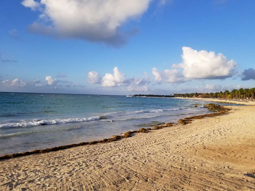 20190304_074843.jpg