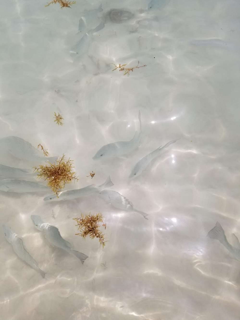 20190305_125755.jpg
