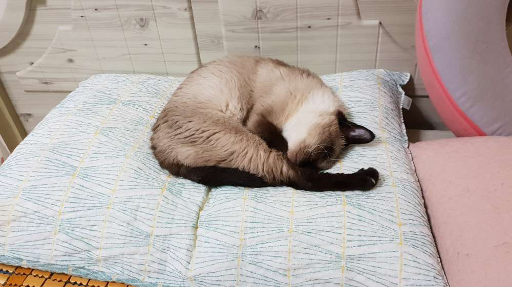 20180831_005305.jpg