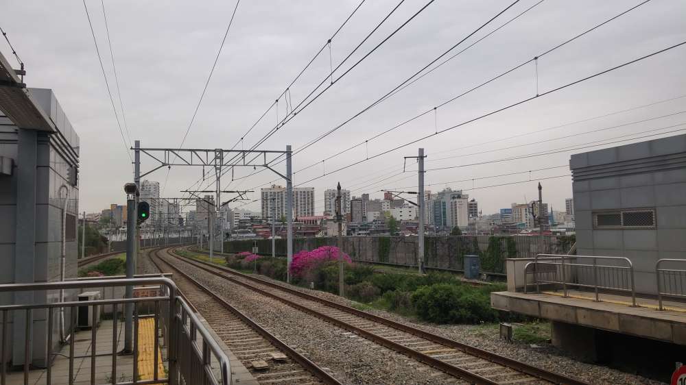 20190425_112200_HDR.jpg