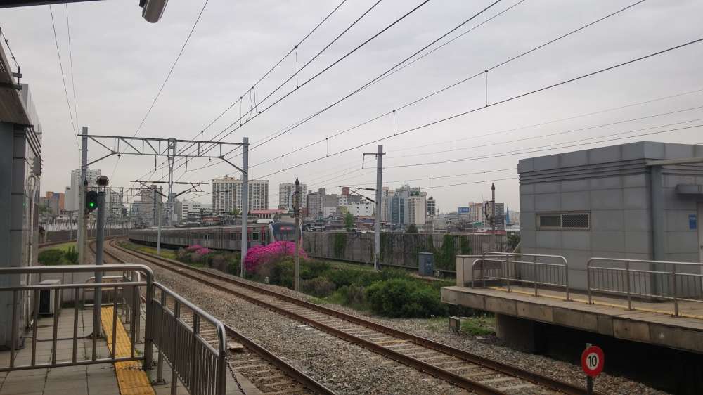 20190425_112220_HDR.jpg