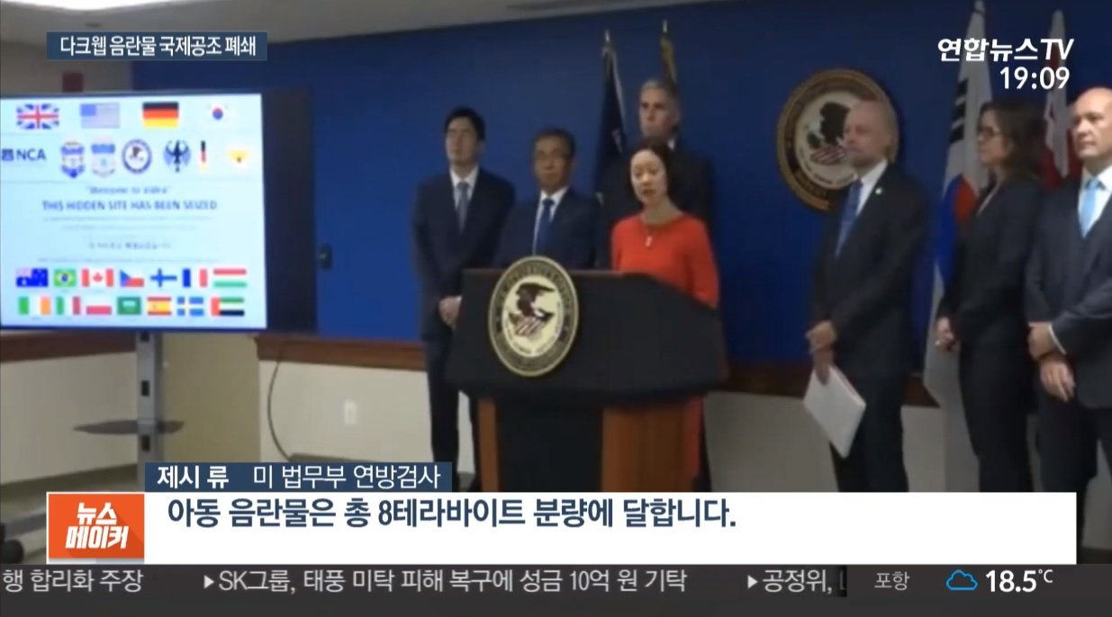 다크웹 아동음란물 국제공조해서 잡았는데 운영자 한국인에 이용자 한국인 대거적발 했단다.gisa | 일간-베스트 | 일베저장소