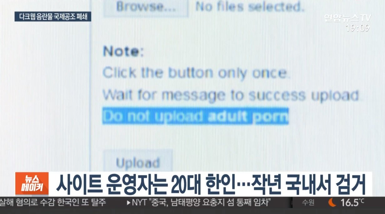 다크웹 아동음란물 국제공조해서 잡았는데 운영자 한국인에 이용자 한국인 대거적발 했단다.gisa | 일간-베스트 | 일베저장소