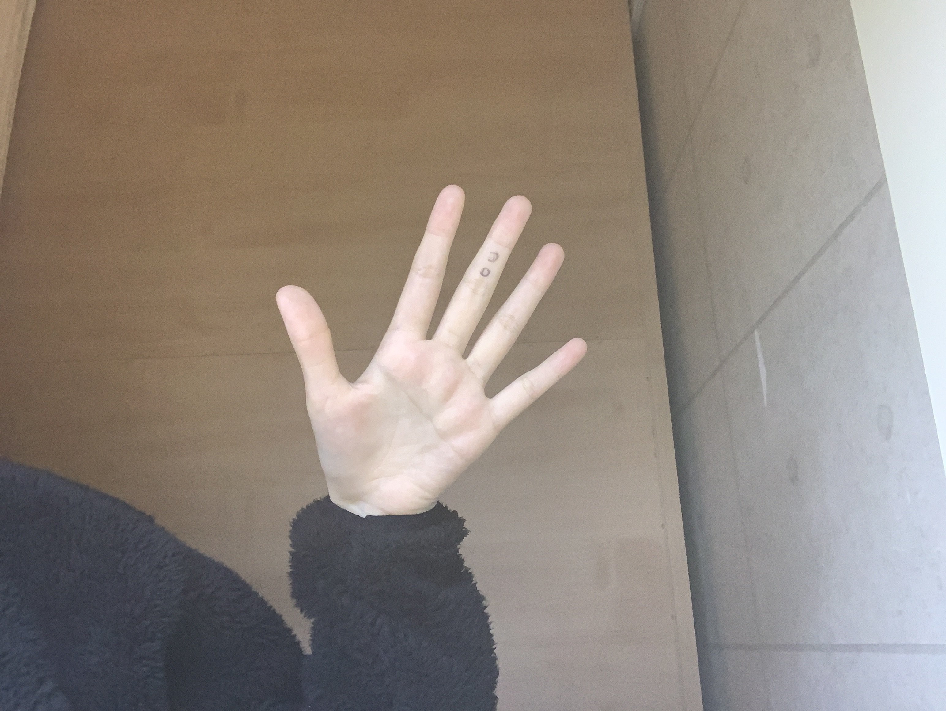 19) 올리비아 핫세 빨통 gif | 짤방 | 일베저장소