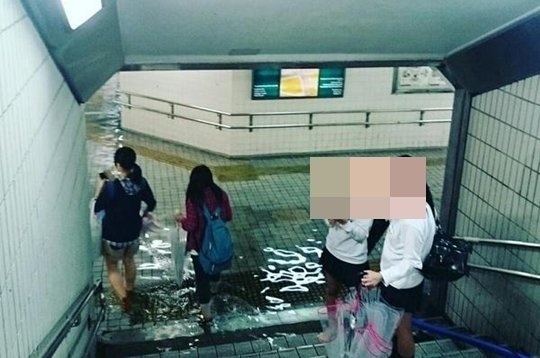 원본확인 클릭